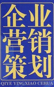 2024年度企业营销策划方案